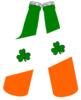 Beer Bottles Irish Flag Bottle Image